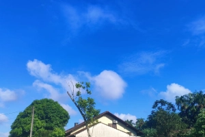 Confira a previs&atilde;o do tempo em Joinville para esta quinta-feira