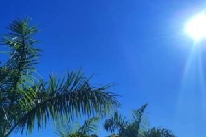 Tempo em Joinville: veja como fica a previs&atilde;o para esta quarta-feira