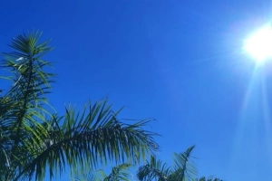 Confira a previs&atilde;o do tempo para esta quinta-feira em Joinville