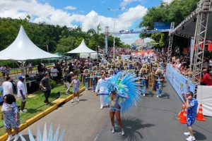 Pr&iacute;ncipes do Samba conquista o 14&ordm; t&iacute;tulo do carnaval de Joinville com desfile que empolgou o p&uacute;blico