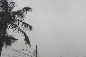 Previs&atilde;o do tempo: Joinville come&ccedil;a a quinta-feira com chuva