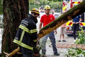 Temporal provoca quedas de &aacute;rvores e alagamentos em bairros de Joinville