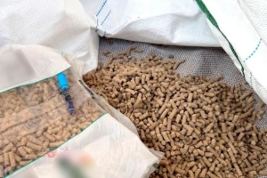 V&Iacute;DEO  - Coca&iacute;na misturada a pellets de madeira, com destino &agrave; Alemanha, &eacute; apreendida no Porto de Itapo&aacute;