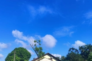 Saiba como fica a previs&atilde;o do tempo em Joinville nesta segunda-feira