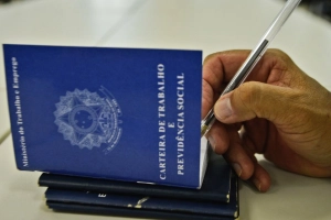 Terminal portu&aacute;rio abre 250 vagas de emprego em Itapo&aacute; e Joinville