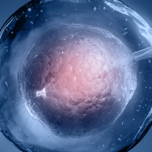 I.C.S.I (Injeção Intracitoplasmática de Espermatozoides) - Crifert ...