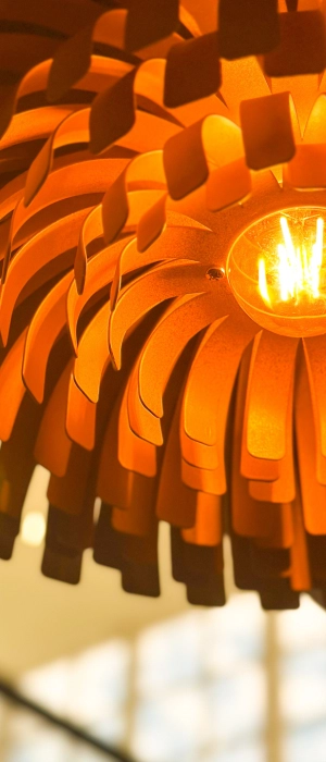 p-estrat-eacute-gia-de-comunica-ccedil-atilde-o-nbsp-p-p-strong-inaugura-ccedil-atilde-o-outback-crici-uacute-ma-strong-p