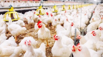 Começo de mudança no padrão mostra chegada das chuvas no sul do país para os próximos dias