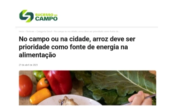 No campo ou na cidade, arroz deve ser prioridade na alimentação