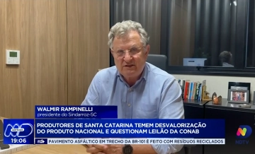 Produtores de SC temem desvalorização do arroz nacional com leilão da Conab