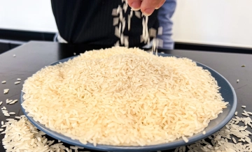 Preço do arroz continua a cair e aumenta preocupação da cadeia produtiva