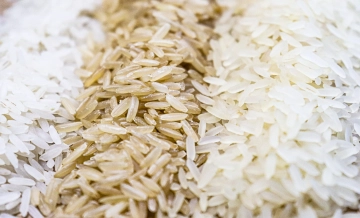 Queda no preço do arroz acende alerta no setor e pode impactar próxima safra