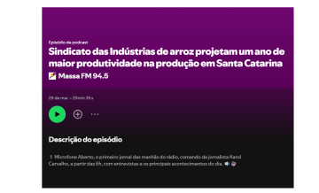 Sindicato dos Indústrias de arroz projetam um ano de maior produtividade em SC