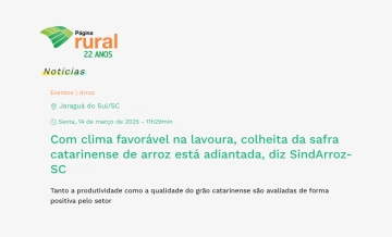 Com clima favorável na lavoura, colheita da safra catarinense de arroz está adiantada, diz SindArroz-SC