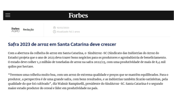 Safra 2023 de arroz em Santa Catarina deve crescer
