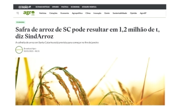Safra de arroz de SC pode resultar em 1,2 milhão de t, diz SindArroz