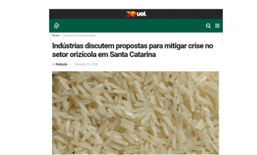 Ind&uacute;strias discutem propostas para mitigar crise no setor oriz&iacute;cola