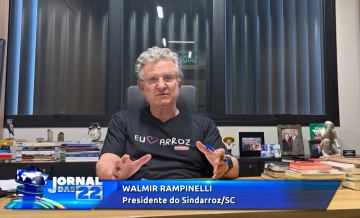 Safra de arroz segue em meio à desvalorização e incertezas para toda a cadeia produtiva