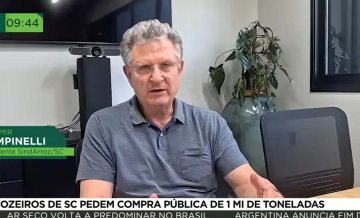 Arrozeiros de SC pedem compra pública de 1 milhão de toneladas