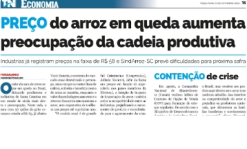 Preço do arroz em queda aumenta peocupação da cadeia produtiva