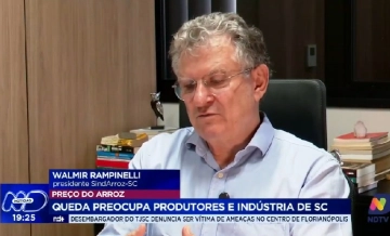 Queda no preço do arroz preocupa produtores no Sul de SC