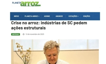 Crise no arroz: indústrias de SC pedem ações estruturais