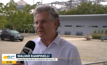 Apesar da alta produtividade, rizicultores de SC reclamam dos preços do grão