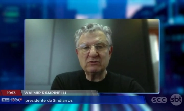 Preço do arroz cai e impacta produtores e consumidores