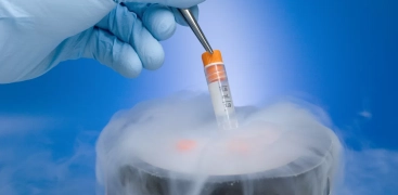 Como funciona a doação de Esperma, Óvulos ou Embriões
