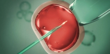  Entendendo a Inseminação Intrauterina
