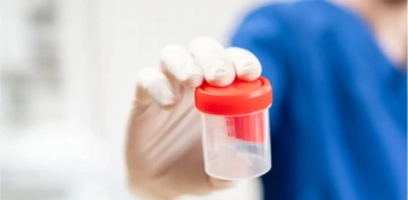 Doação de Esperma ou Óvulos