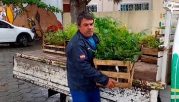 Semana do meio ambiente é marcada por entrega de mudas na Cerpalo