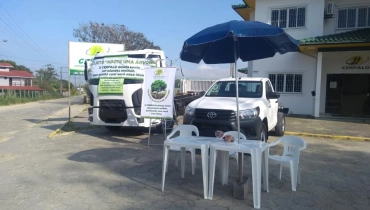 Doação de árvores nativas no Dia da Árvore!