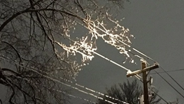 Queda de árvore causou curto-circuito na rede da Cerpalo