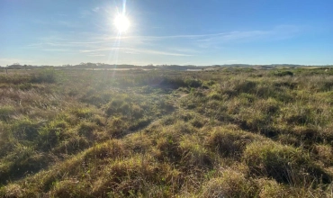 TERRENO - ZONA SUL, BALNEÁRIO RINCÃO TERRENO - ZONA SUL, BALNEÁRIO RINCÃO