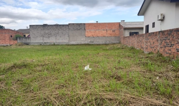 TERRENO - QUARTA LINHA, CRICIUMA TERRENO - QUARTA LINHA, CRICIUMA