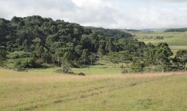 TERRENO - BOM JARDIM DA SERRA