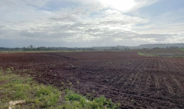 TERRENO-PONTA DO MATO, IÇARA TERRENO-PONTA DO MATO, IÇARA