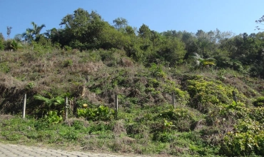 TERRENO - LOTE SEIS, CRICIÚMA