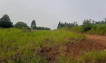 TERRENO, LIRI, IÇARA TERRENO, LIRI, IÇARA
