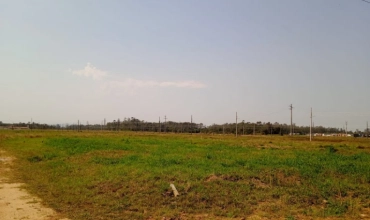 TERRENOS, LOT. LUIZ TISCOSKI - SANTA CRUZ, FORQUILHINHA TERRENOS, LOT. LUIZ TISCOSKI - SANTA CRUZ, FORQUILHINHA