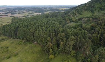 TERRENO, SÃO DOMINGOS - CRICIÚMA TERRENO, SÃO DOMINGOS - CRICIÚMA