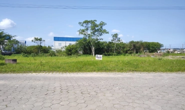 TERRENO - NASPOLINI, MORRO DA FUMAÇA TERRENO - NASPOLINI, MORRO DA FUMAÇA