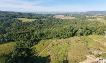TERRENO - COCAL DO SUL - RIO GALO