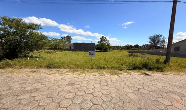 TERRENO - LOT. PARQUE NOVO RINCÃO, PEDREIRAS, BALNEÁRIO RINCÃO TERRENO - LOT. PARQUE NOVO RINCÃO, PEDREIRAS, BALNEÁRIO RINCÃO