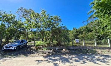 SITIO - SÃO BONIFÁCIO - NOVA VENEZA