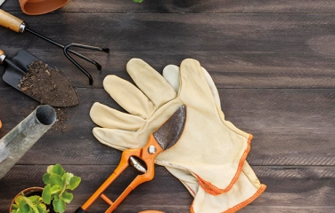 Como a biofilia nos inspira?