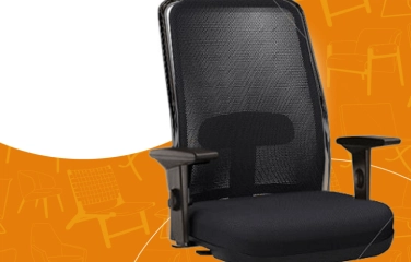 Qual a cadeira ideal?