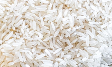 Crise no setor orizícola: medidas do Governo Federal são insuficientes diante cenário crítico enfrentado pelas indústrias catarinenses