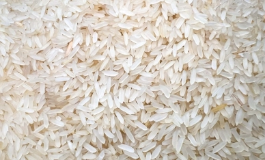 Arroz lidera queda da mercearia b&aacute;sica no varejo e SindArroz-SC refor&ccedil;a alerta em meio &agrave; crise na cadeia produtiva